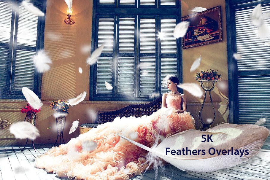 5K高清分辨率羽毛叠层背景 5K Feathers Overlays插图