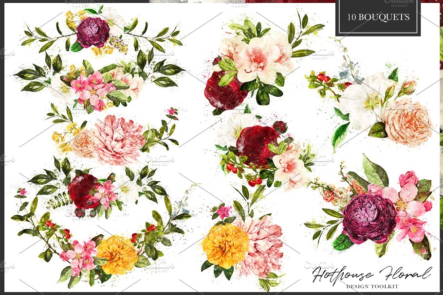 数码绘制温室花卉设计素材包（独立花卉元素&花式字母数字） Hothouse Floral Design ToolKit插图(1)