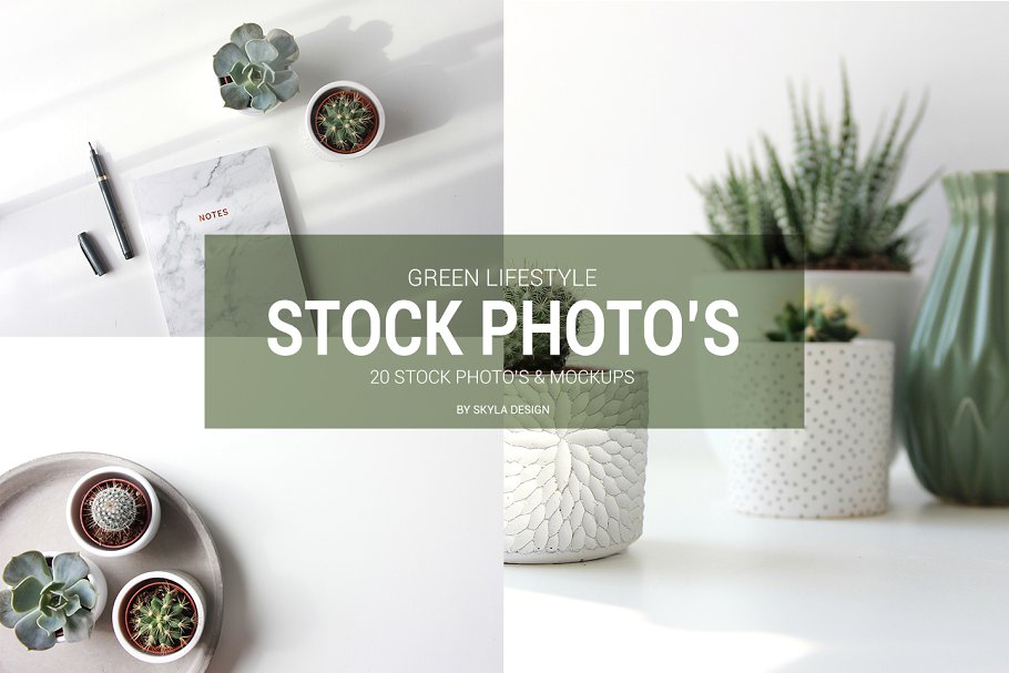 简约绿色生活方式照片样机模板 Stock photo mockups Green lifestyle插图