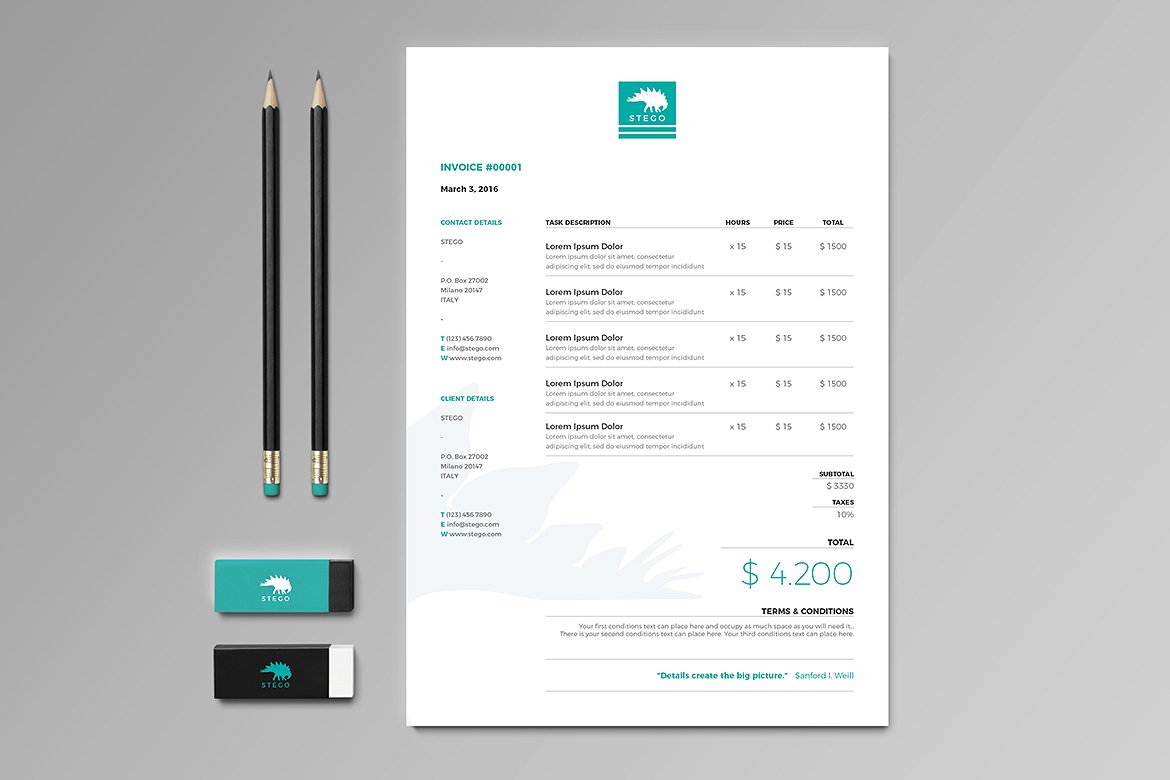 专业有创意的时尚高端VI提案文具套装插图(2)