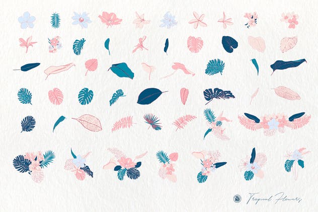 热带花卉水彩手绘剪贴画素材 Tropical Flowers插图(6)