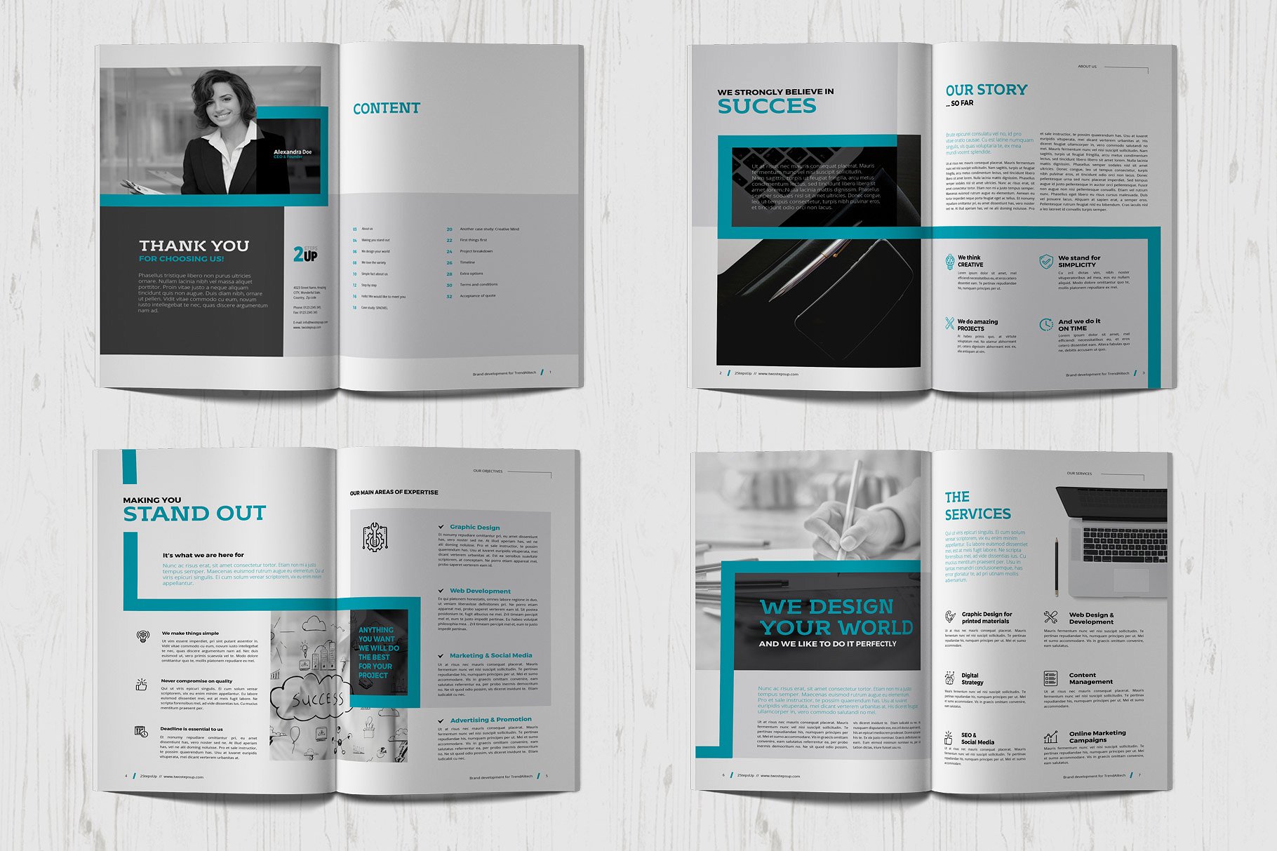 商业项目计划书手册模板 Proposal插图(2)