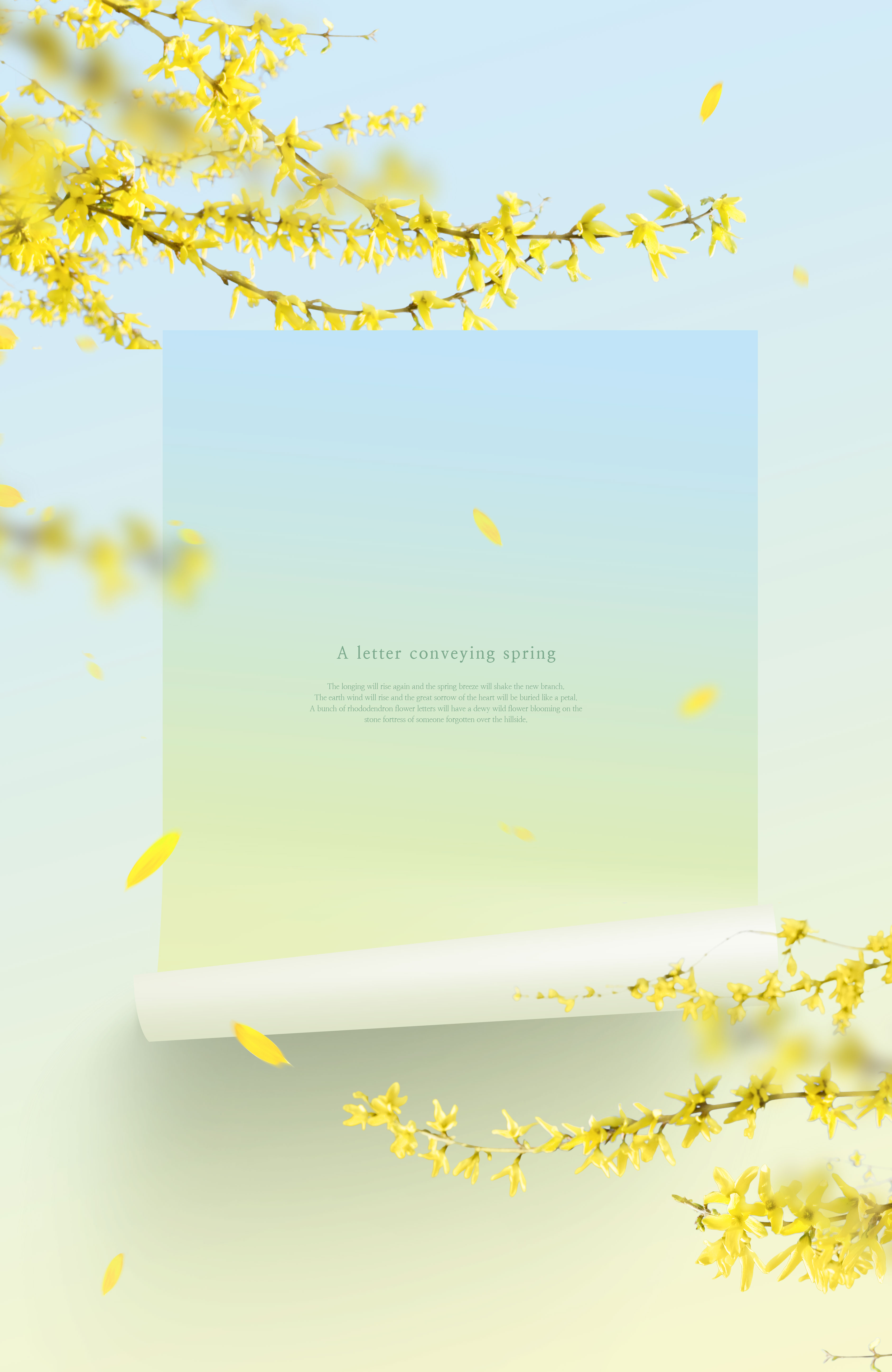 迎春花-春天花卉主题海报/贺卡/信纸设计psd素材插图