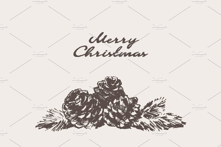 松树素描剪贴画 Sketches of pine cones插图(3)