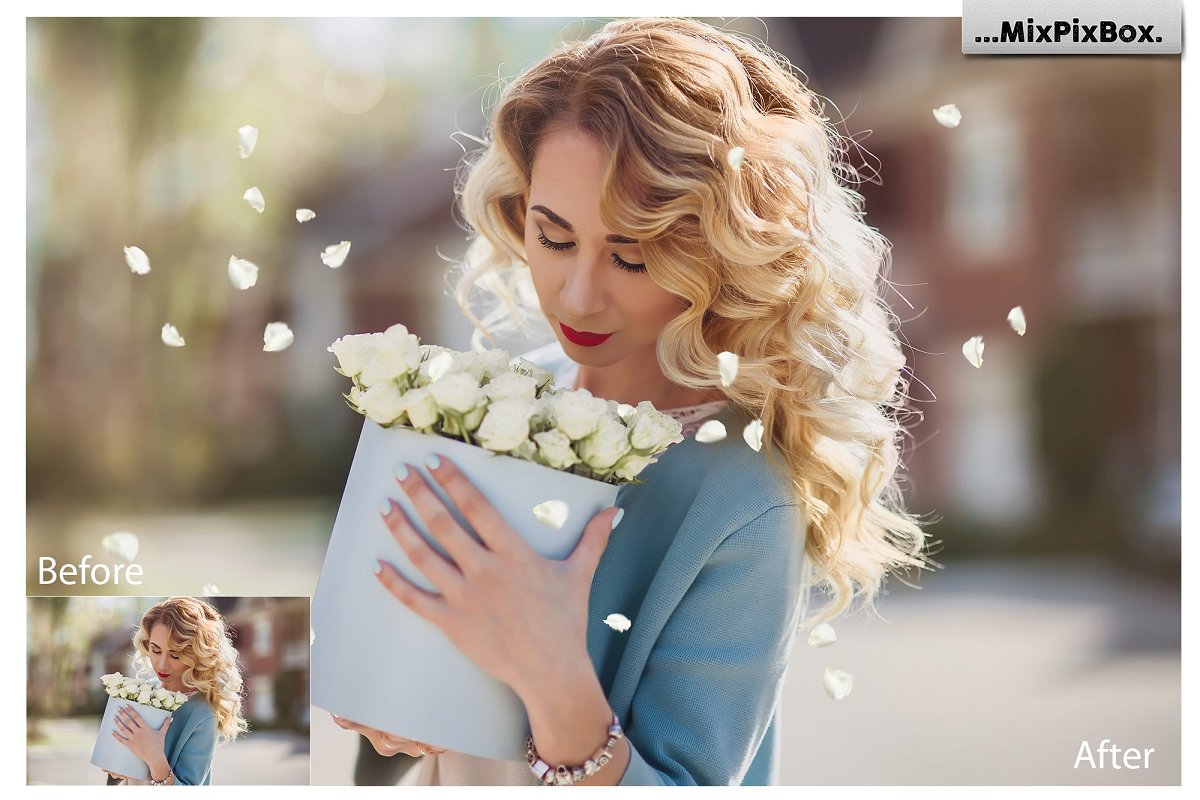 花瓣照片特效叠层插图(3)