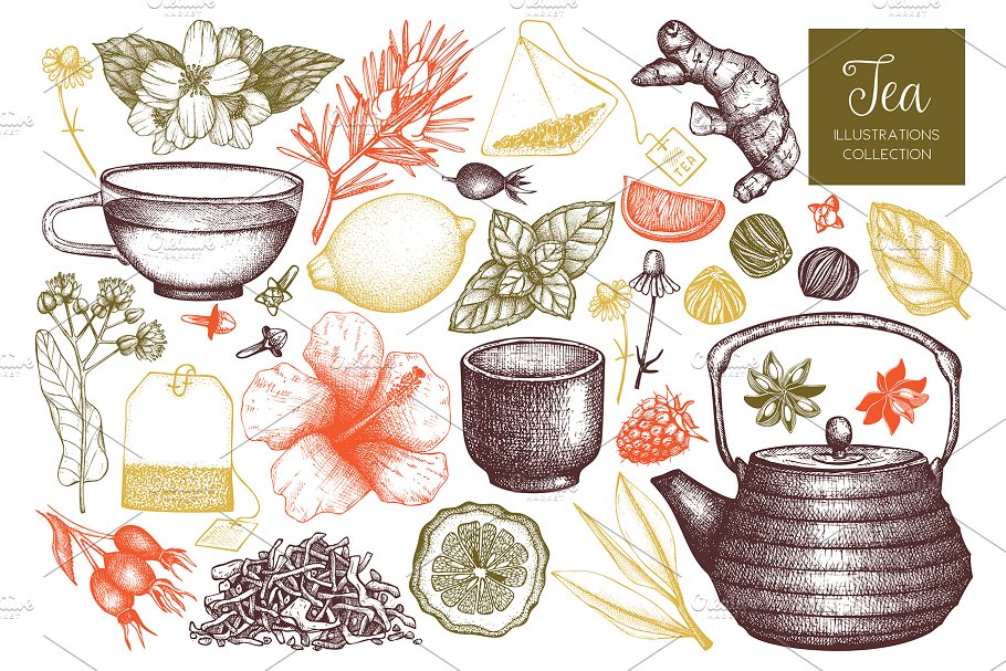 各种茶成分茶元素矢量 Vector Tea Ingredients Collection插图(1)