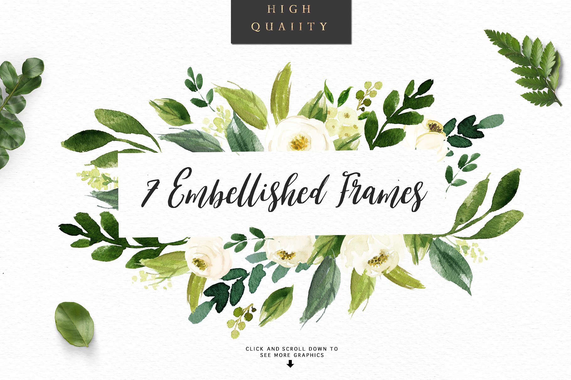 水彩花卉素材 Watercolor White Flower Clip Art插图(5)