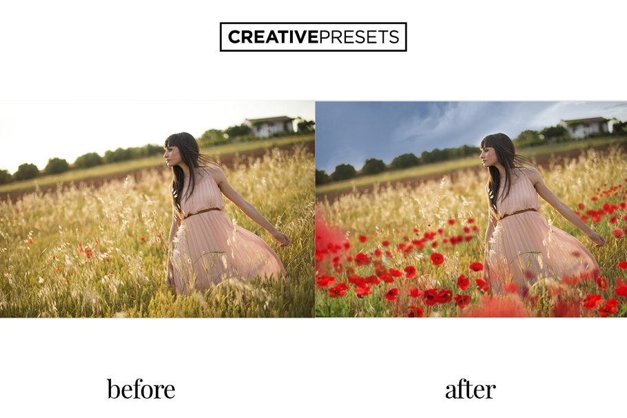 浪漫野生罂粟叶照片处理叠层 Wild Poppies Photo Overlays插图(5)