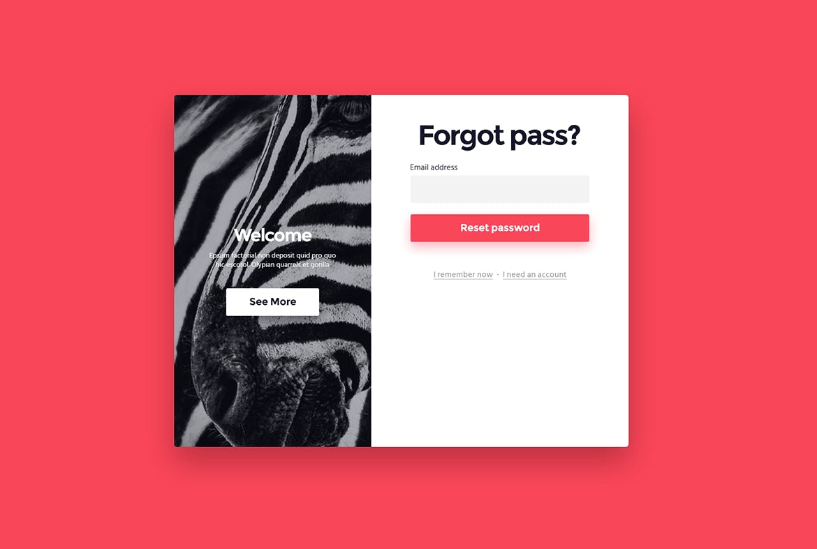 网站登录注册窗口表单设计素材库精选模板 “Zebra” Login & Registration Form插图(3)