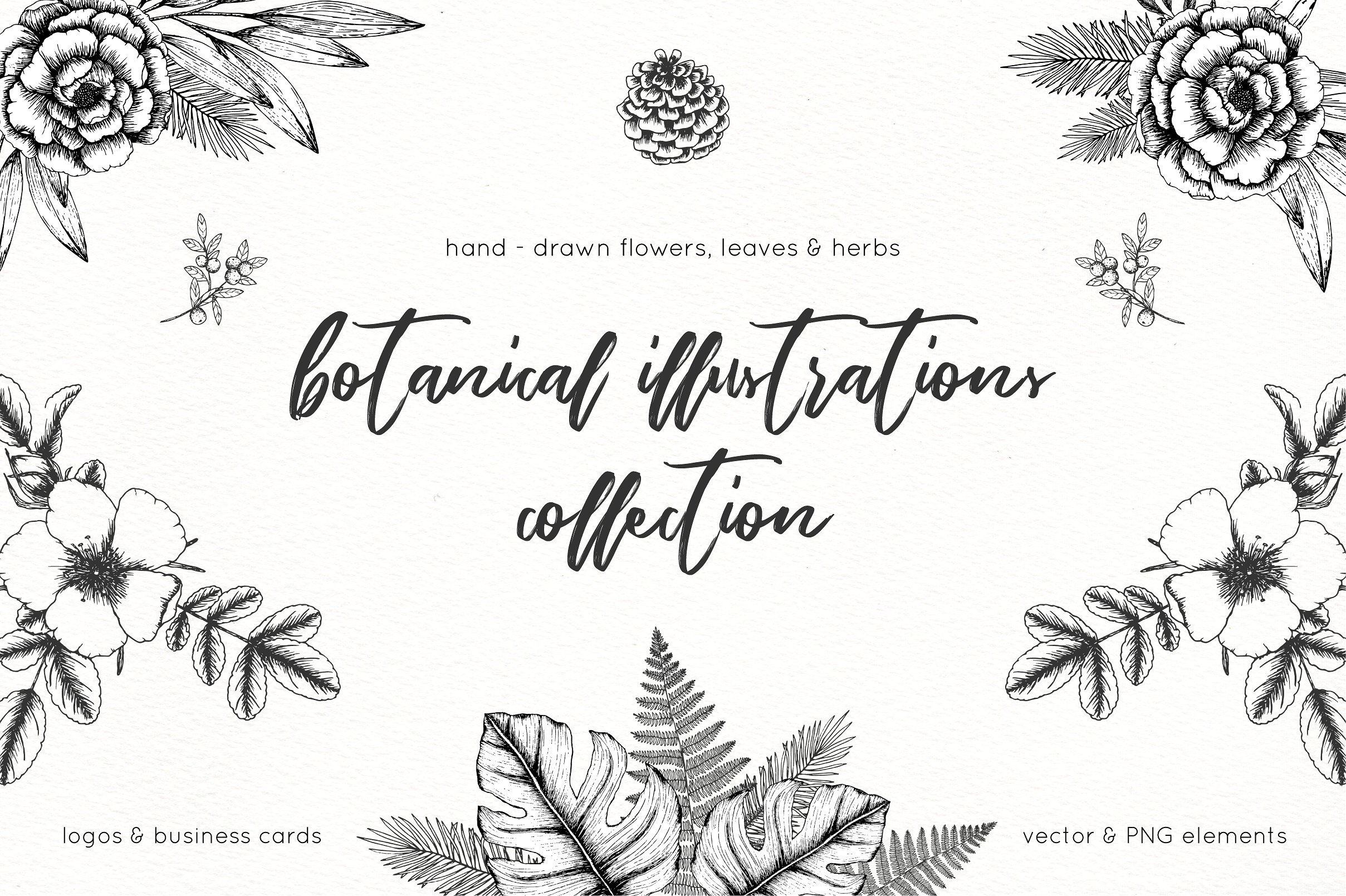 极简主义手绘植物插图包插图