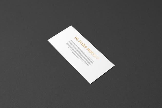 高端烫金DL传单铝箔冲压样机模板 DL Landscape Flyer With Foil Stamping Mockup插图(6)