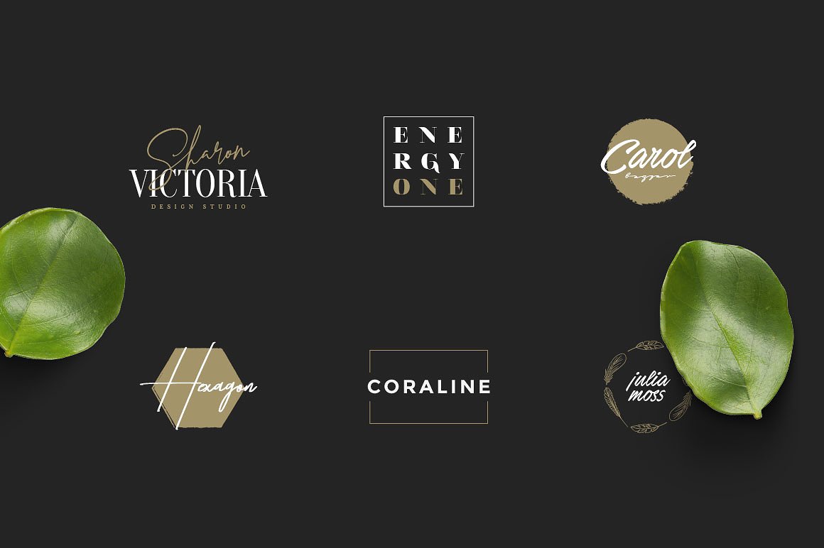 50款女性奢华品牌Logo模板 50 Feminine Luxury Logos插图(3)