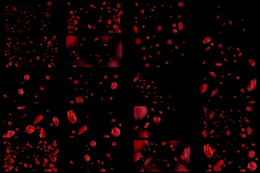 5K高清分辨率花瓣叠层覆盖层素材 5K Petals Overlays插图(5)