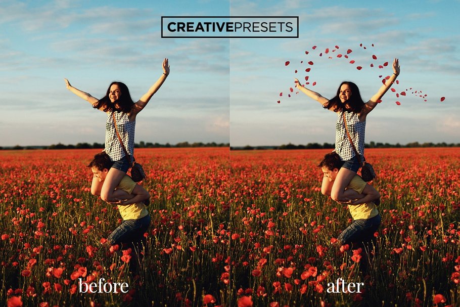 浪漫野生罂粟叶照片处理叠层 Wild Poppies Photo Overlays插图(9)