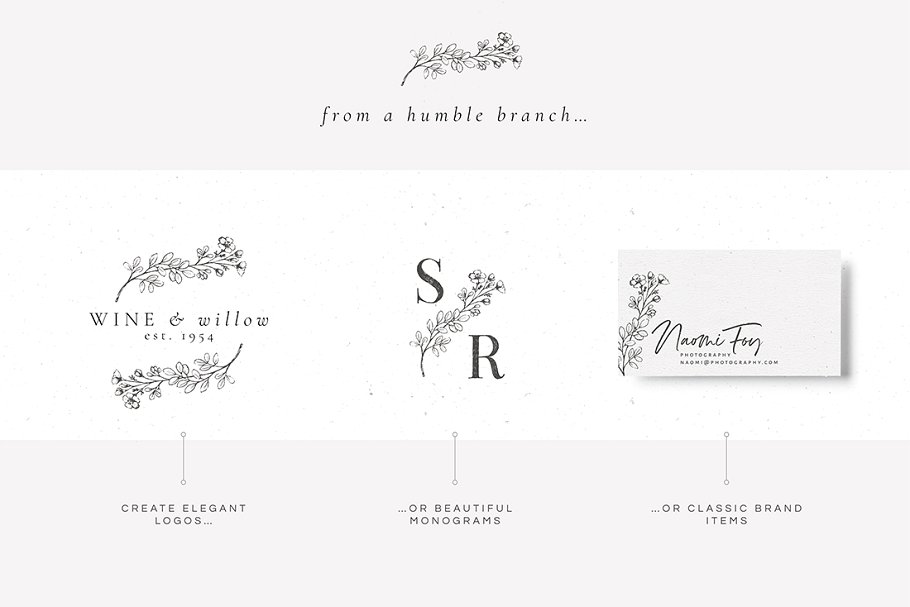 乡土气息植物、手绘字体&花卉字体 Botanical Illustrations & Monograms插图(6)