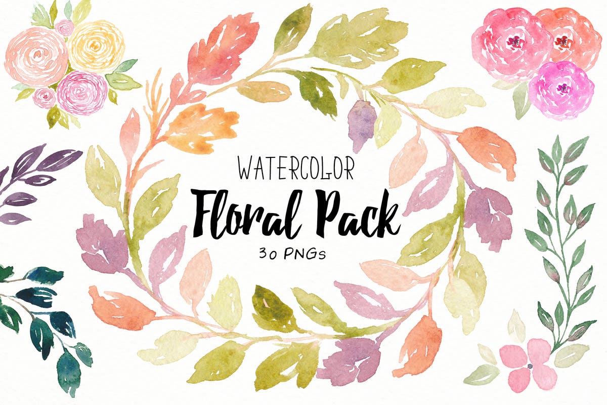 30款花卉&叶子水彩插画合集 Floral Watercolor Collection插图