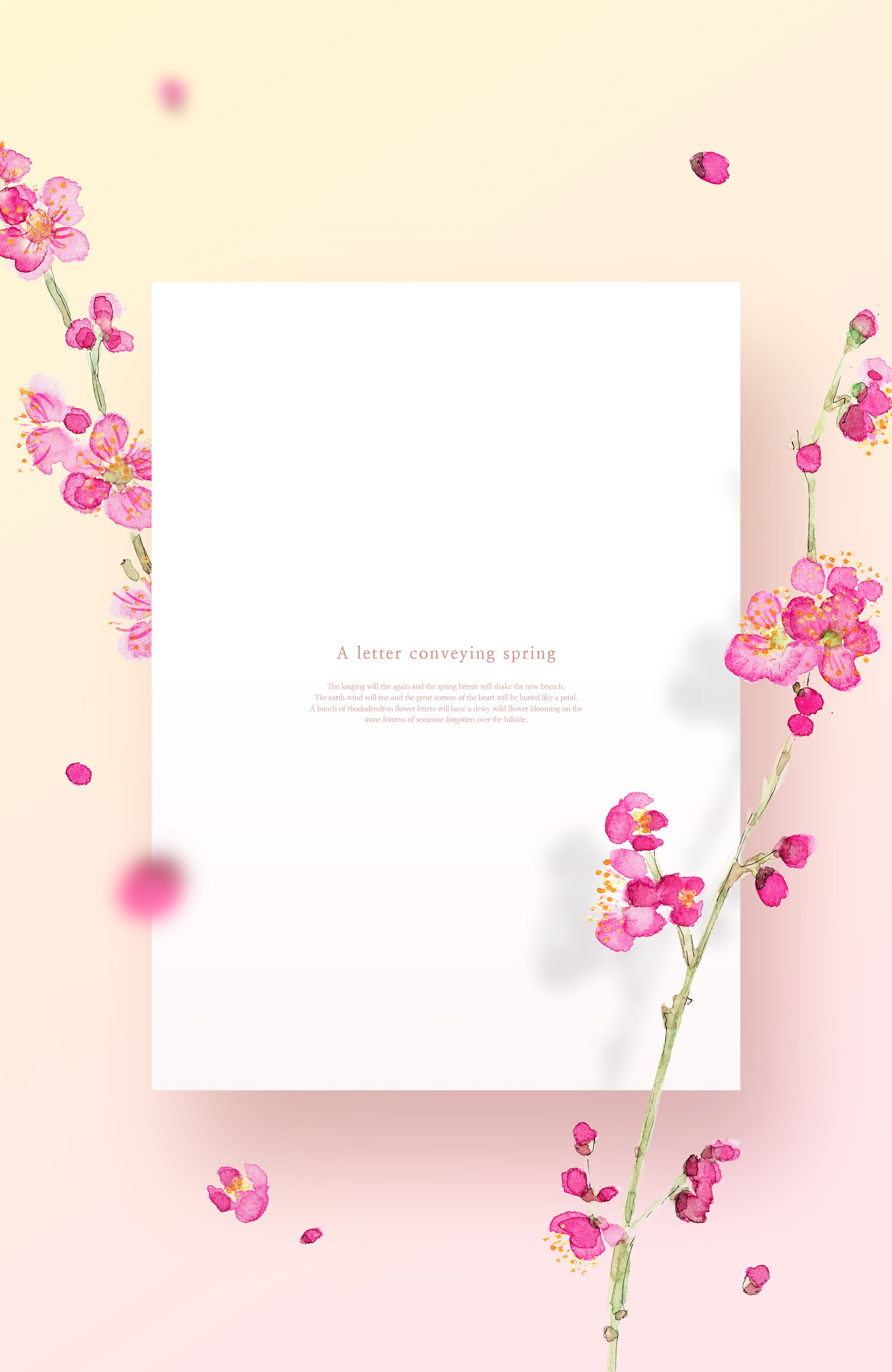 梅花-春天花卉主题海报/贺卡/信纸设计psd素材插图