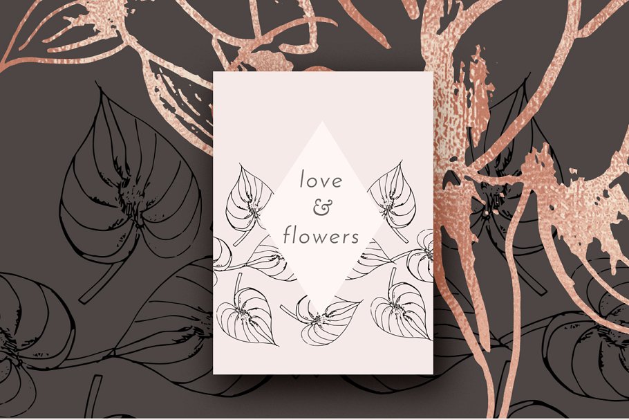 植物与几何图案纹理 Exotic Plants & Geometric Patterns插图(1)