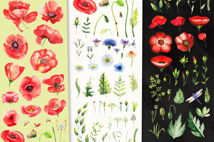100%罂粟花水彩纹理剪贴画集合 Watercolor DIY Poppy Pack插图(3)