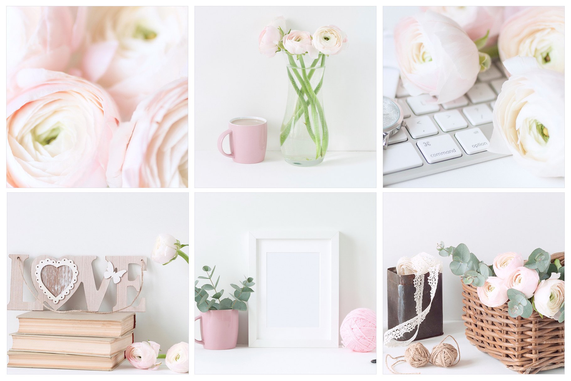 粉红毛茛花卉装饰场景样机 Pink Ranunculus Bundle插图(1)