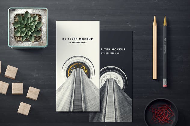 工匠办公场景DL传单样机模板v1 Portrait DL Flyer Mockup – Set 1插图(3)