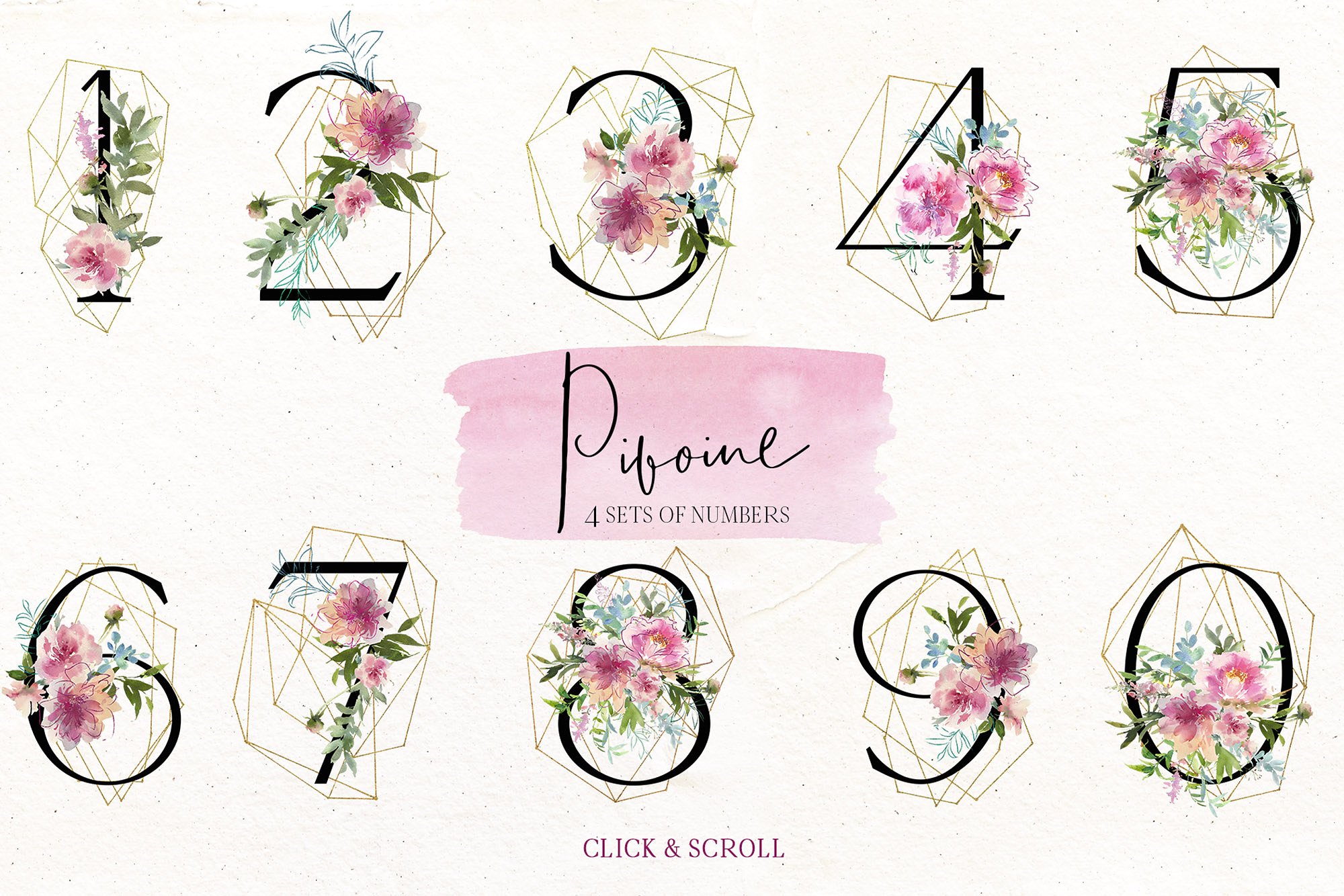 水彩画设计工具包[3.18GB] Pivoine – Watercolor Design Kit插图(7)