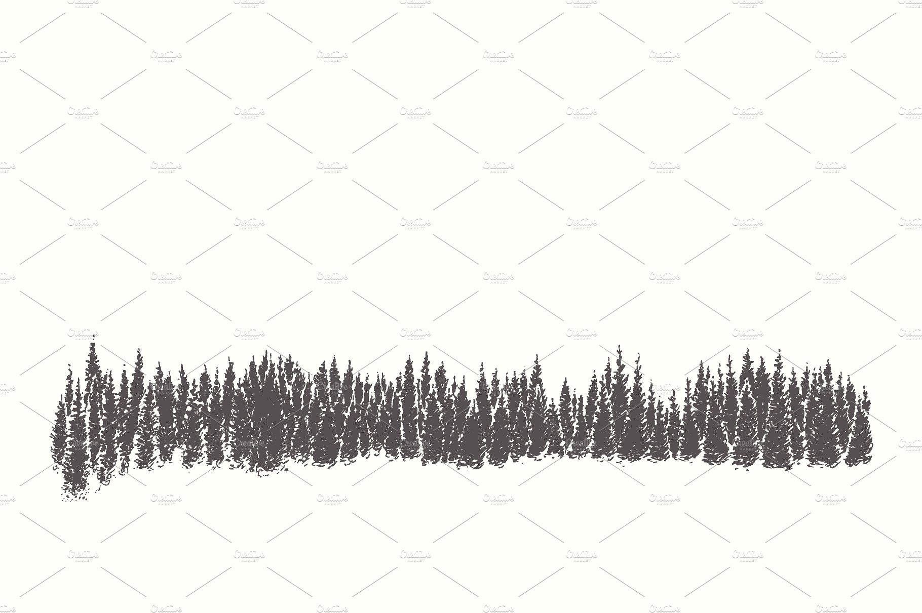 素描森林景观作品插画合集 Collection of forest landscapes插图(5)