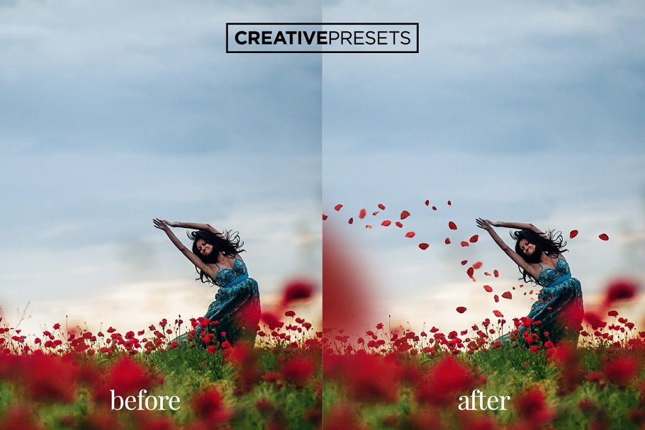 浪漫野生罂粟叶照片处理叠层 Wild Poppies Photo Overlays插图(10)