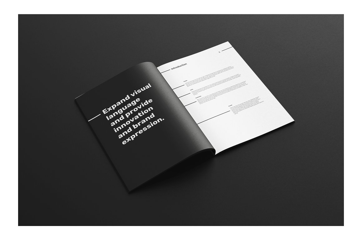 黑白极简主义现代品牌手册插图(3)