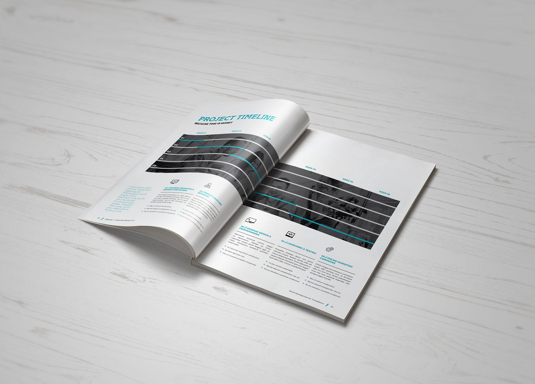 商业项目计划书手册模板 Proposal插图(9)