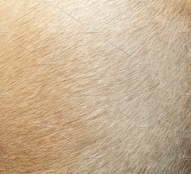 金色黄金假期主题图案纹理 Golden Holiday Season Patterns插图(5)