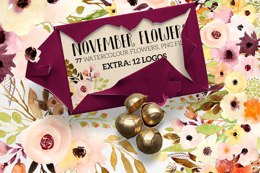 水彩花卉设计素材+12个花卉Logo模板 November Flowers插图