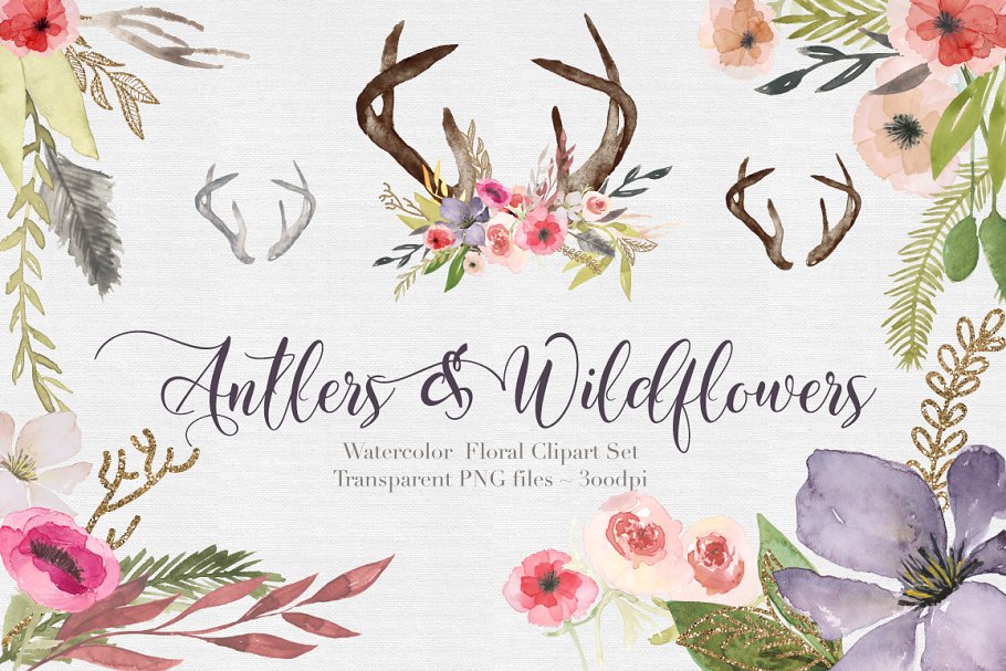 独特手绘花卉鹿角剪贴画合集 Antlers & flowers Watercolor Clipart插图