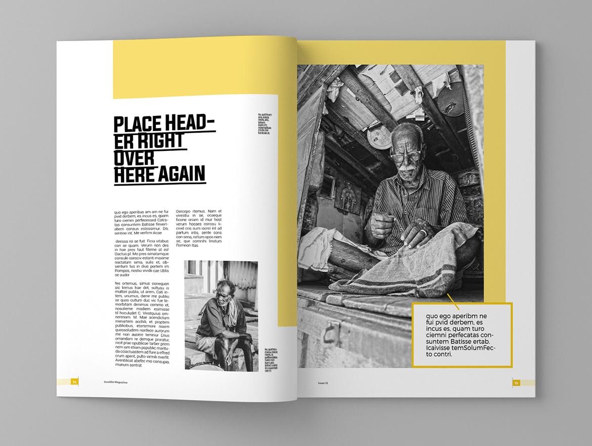 新闻采访/人物杂志设计INDD模板 Gooldie – Magazine Template插图(8)