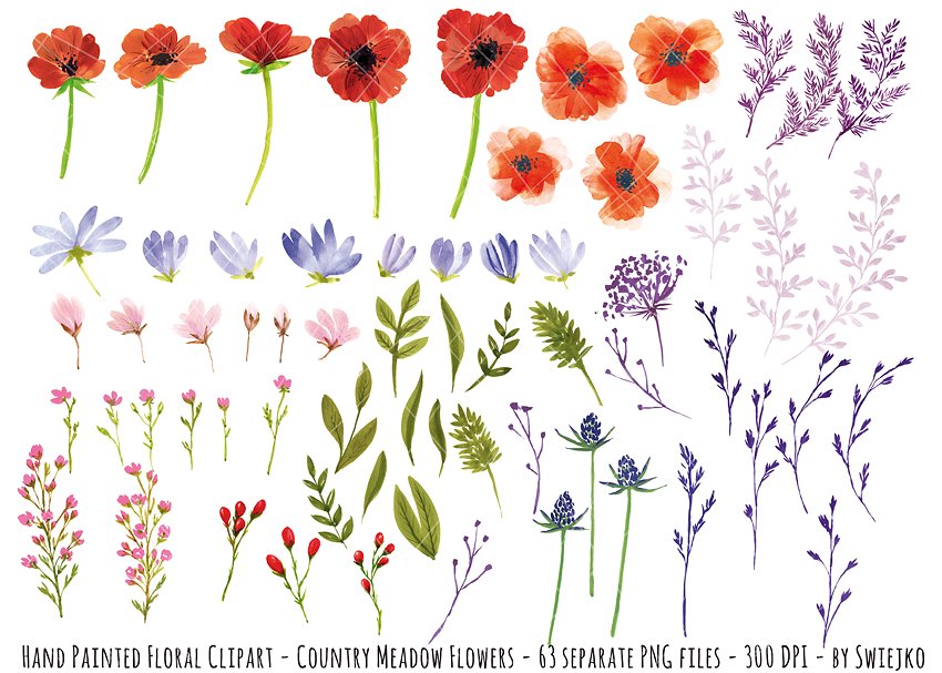 浪漫手绘水彩草甸花设计插画 Watercolor Meadow Flowers插图(1)