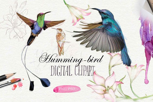 水彩花卉插画元素大合集 Watercolor Bundle over 120 PNG插图(4)