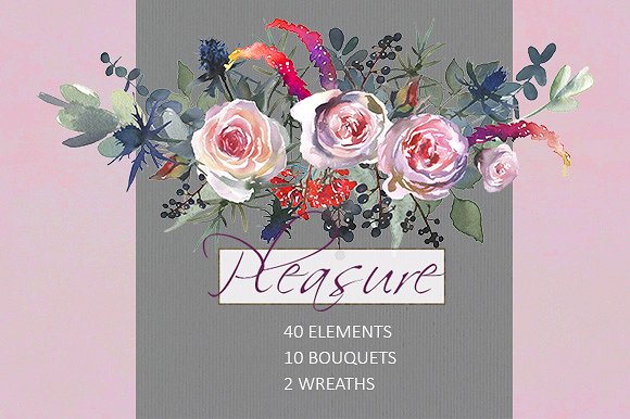 粉红玫瑰/蓝蓟水彩剪贴画 Pink Roses Blue Thistle Clipart插图(3)