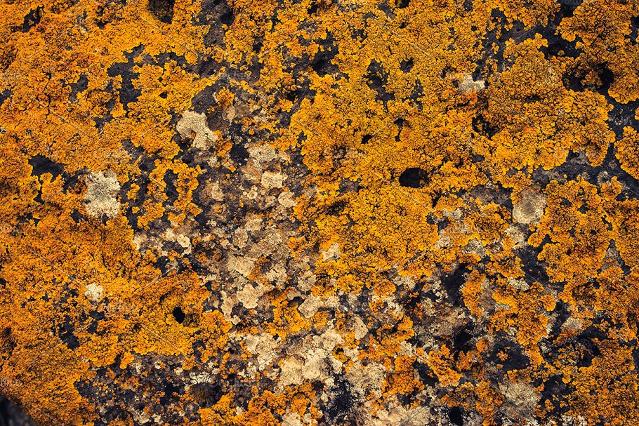 高清自然真实岩石石头照片素材 Rock Solid – Rock & Stone Collection插图(25)