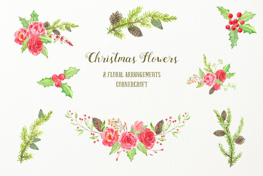 红色圣诞相关主题动植物插画素材 Watercolor Red Christmas插图(2)