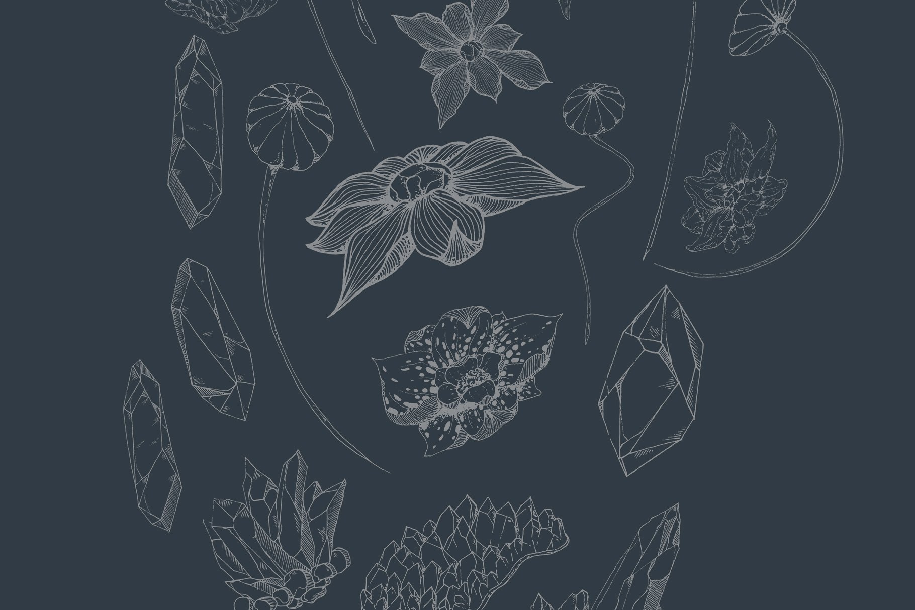 虚实结合黑色背景手绘矢量花卉图形素材 Black Orchid Illustration Set插图(4)