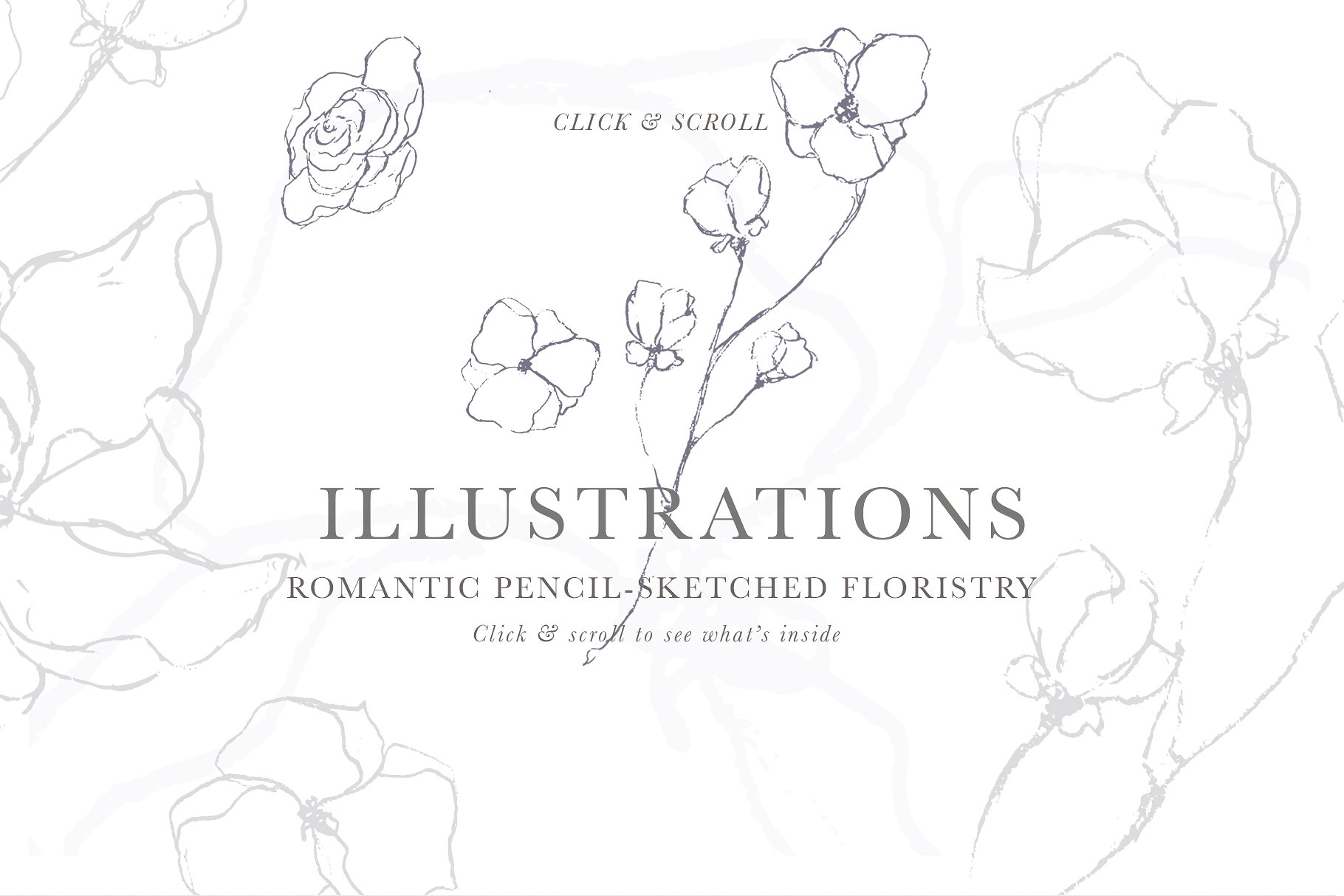 插花艺术插图 Fine Art Floral Illustrations插图(5)