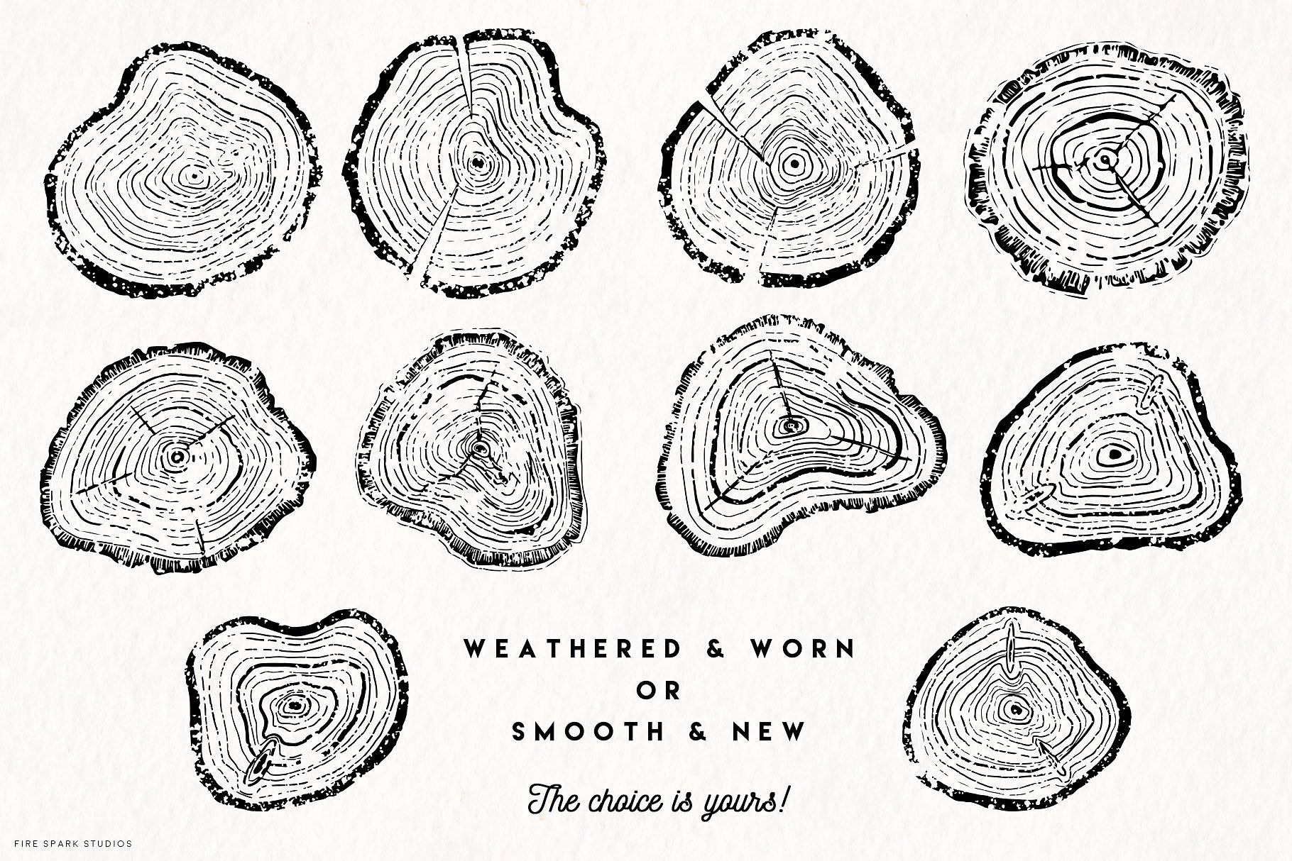 手绘树木年轮矢量图像合集 Timber – Hand Drawn Vector Image Set插图(2)