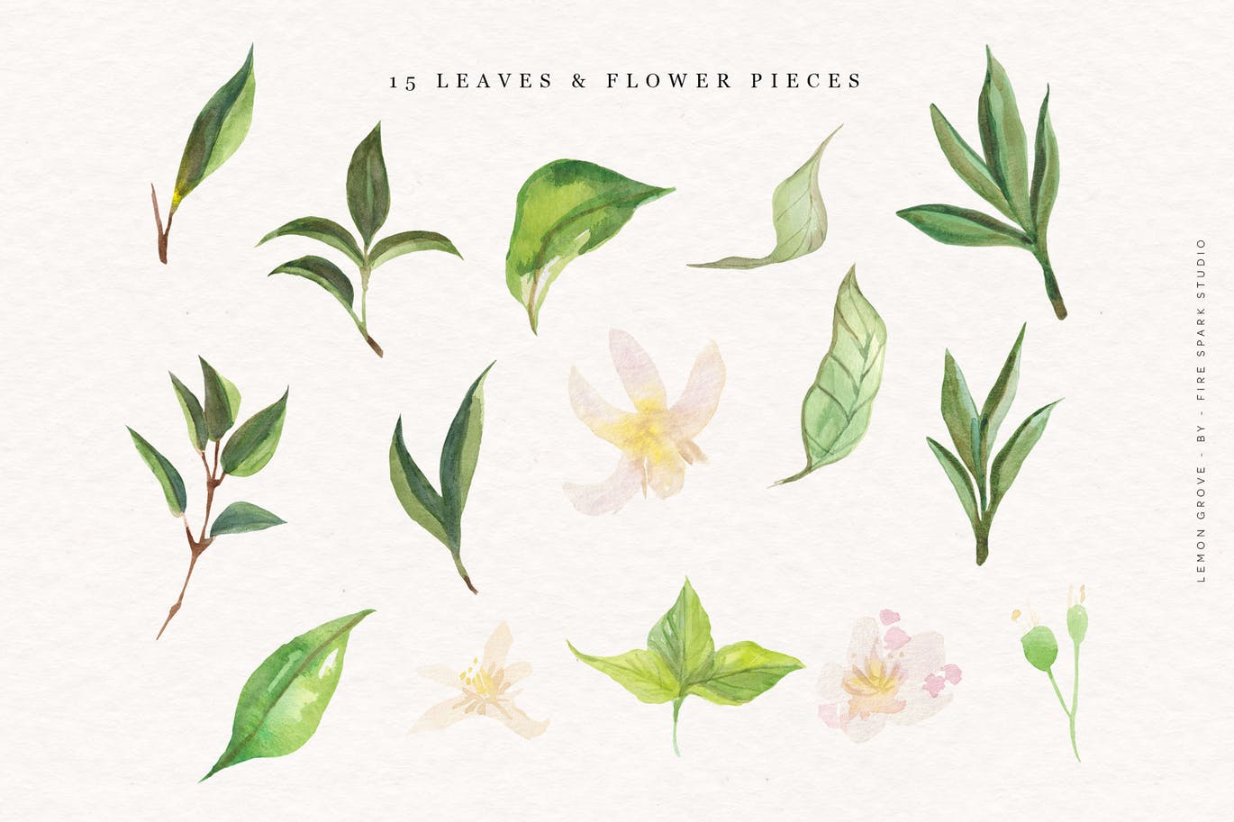 柠檬树水彩手绘矢量插画素材库精选素材 Lemon Grove Watercolor Illustrations插图(3)