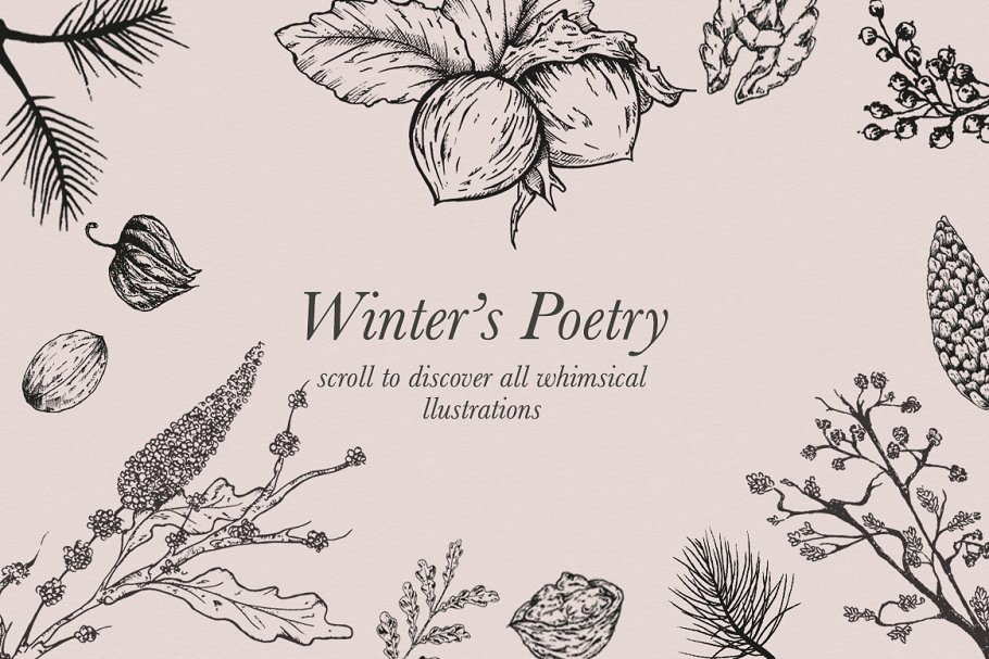 圣诞&冬天主题设计素材合集[2.34GB] Christmas & Winter Graphics Bundle插图(2)