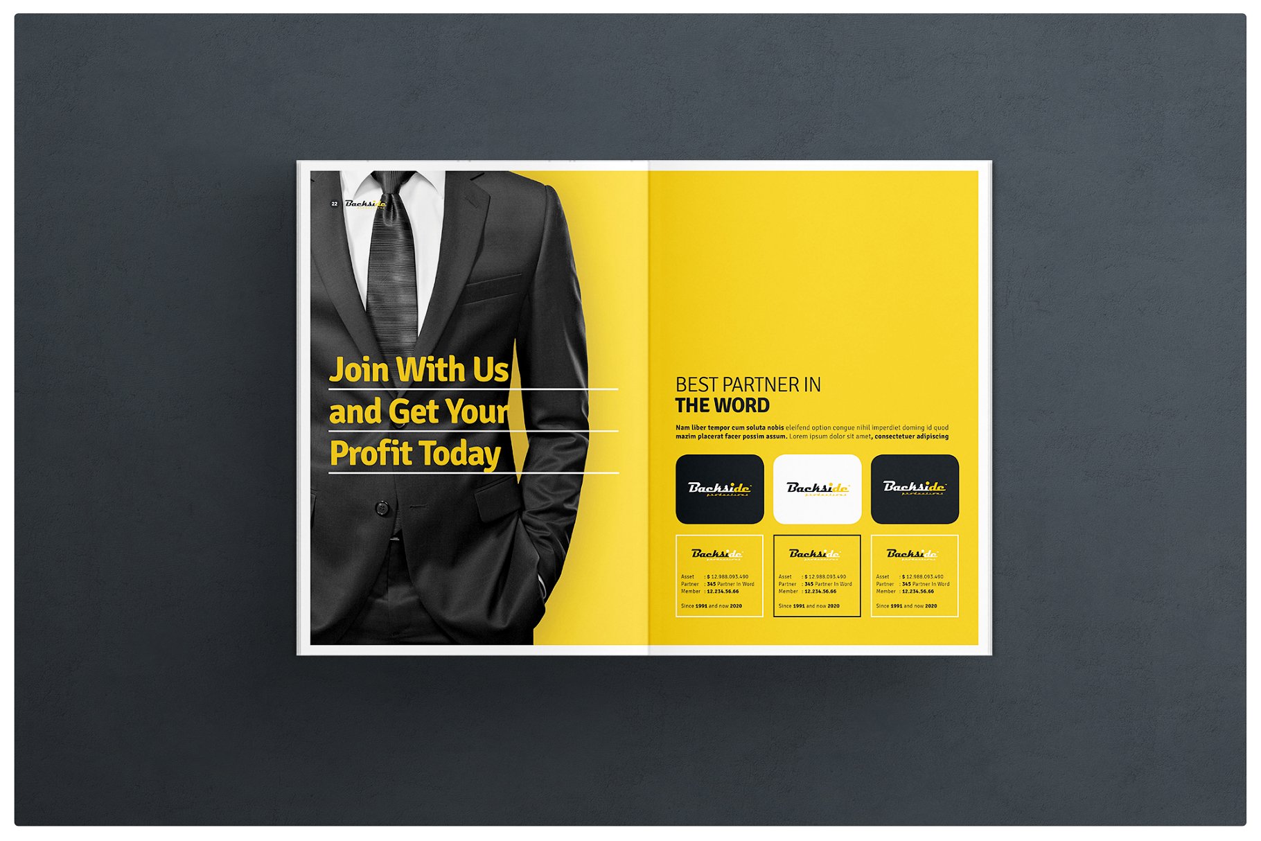 企业项目介绍画册模板 Brochure插图(9)