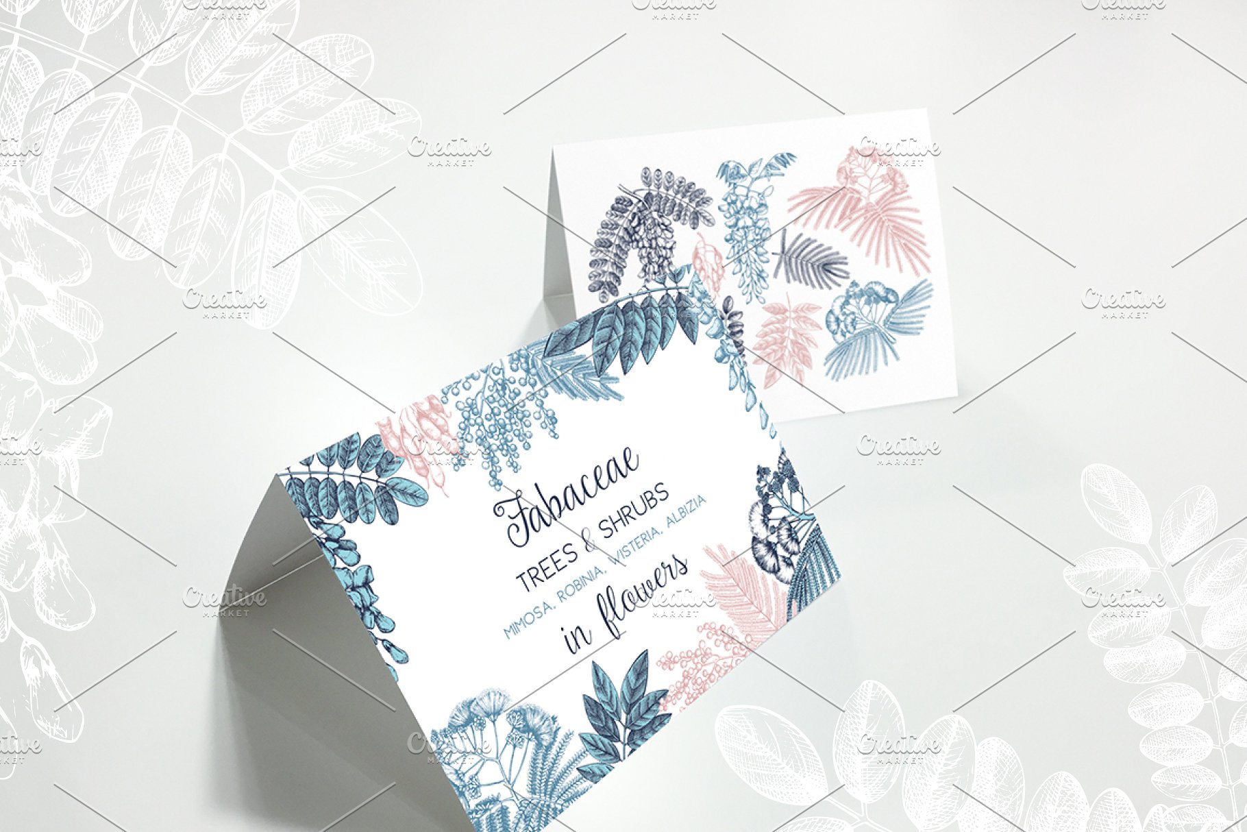 豆科植物和灌木手绘素描插画素材 Legumes Trees in Flowers Set插图(12)