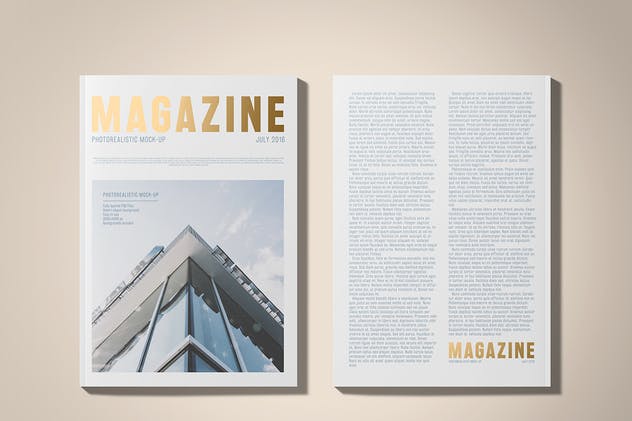 A5规格箔烫印杂志样机 A5 Foil Stamping Magazine Mock-Up插图(3)