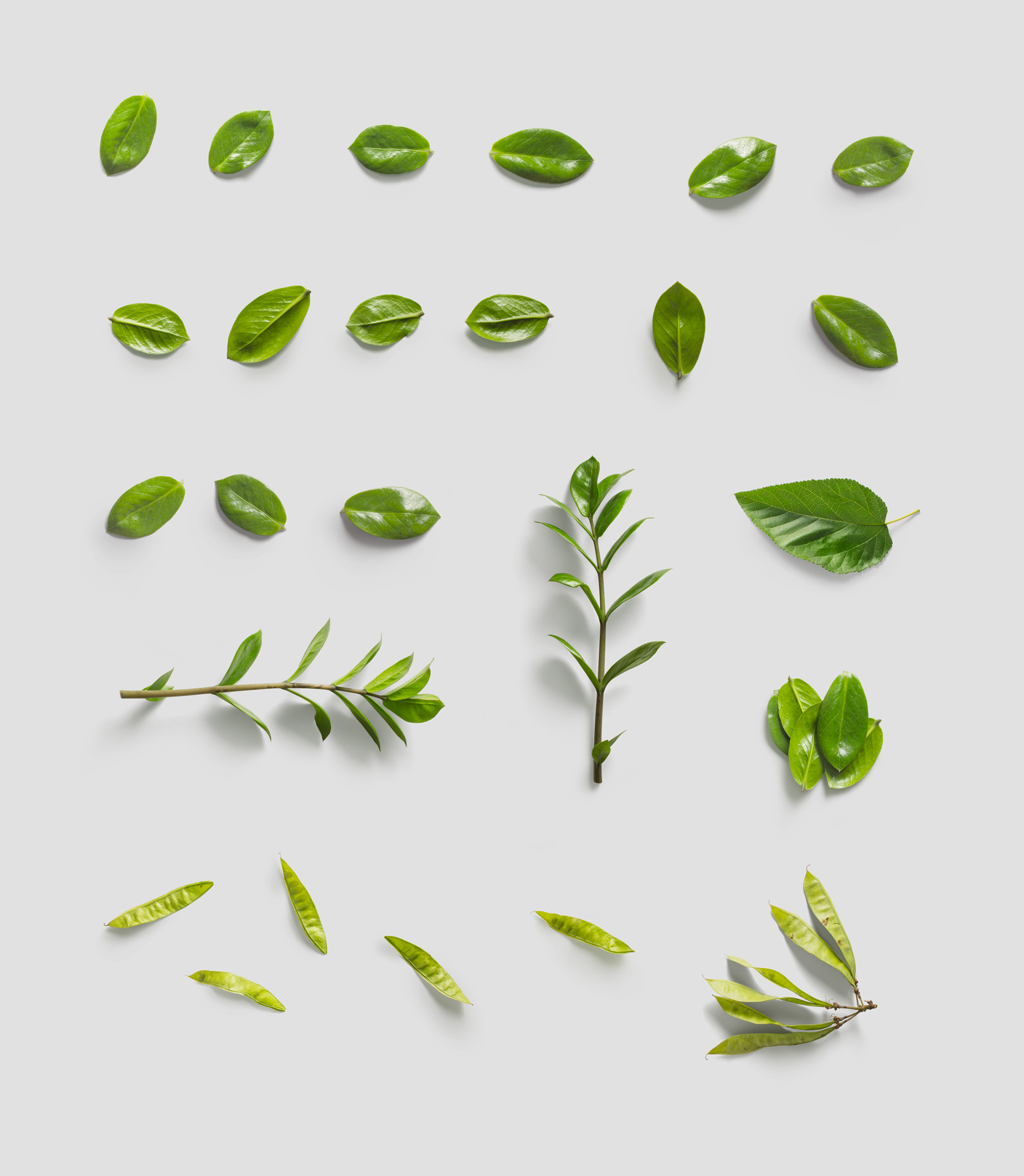 环境主题设计物件高清图素材包 Environment  Items插图(5)