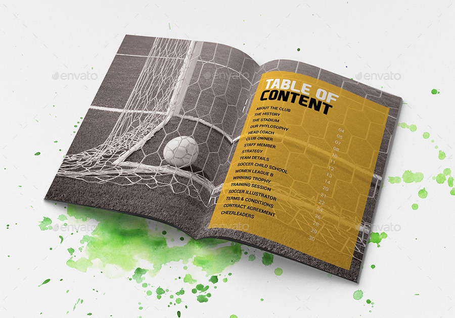 多用途足球俱乐部特色小册子插图(2)