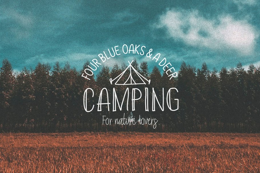 13款手写英文字体合集&Logo模板、矢量插画 Wonderland Fonts Pack & Branding Kit插图(4)